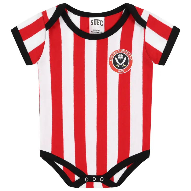 Colour Crest Kit Bodysuit displayed in a main image