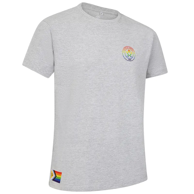Dalton Rainbow Tee Grey shown in a alternate product photo